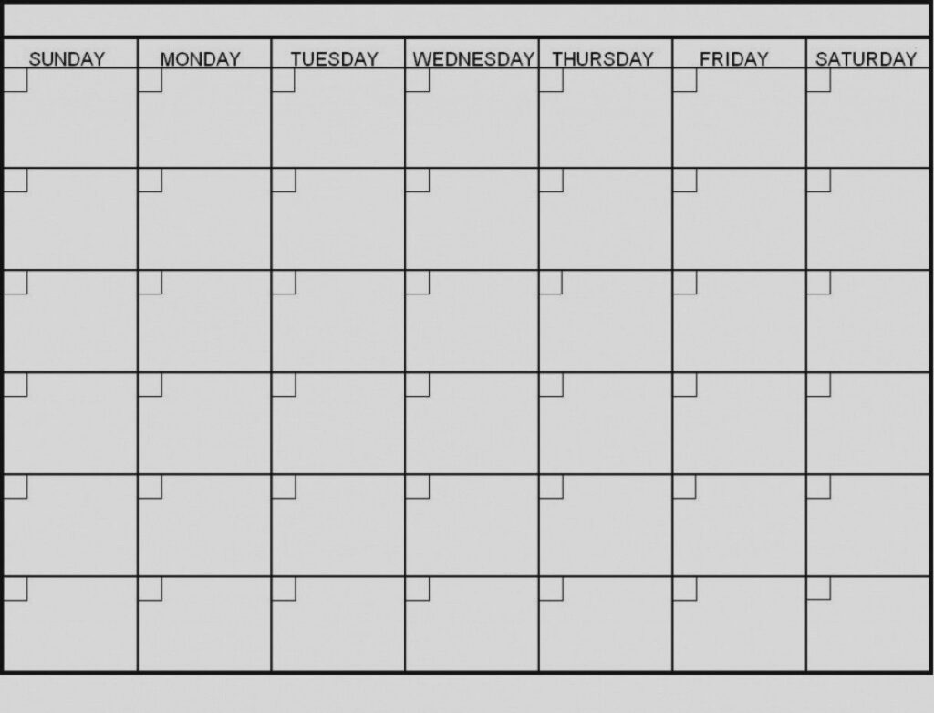 Printable Blank 6 Week Calendar